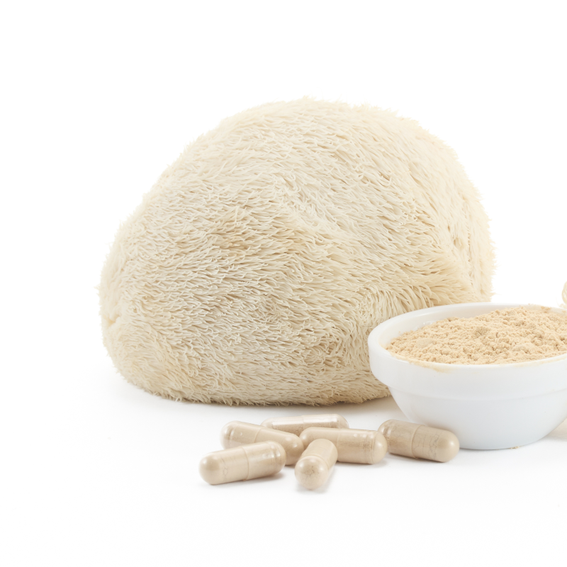 Lions Mane Supplements