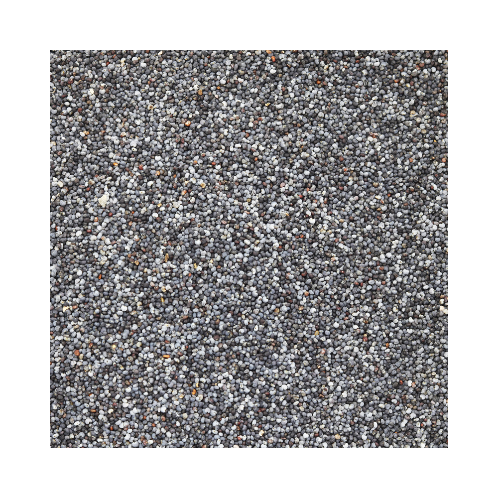 Blue Poppy Seeds