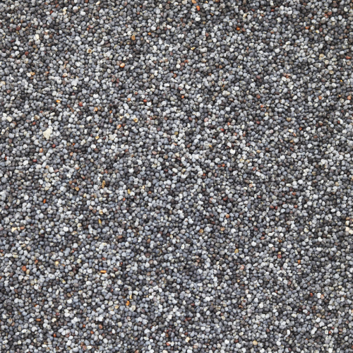 Blue Poppy Seeds