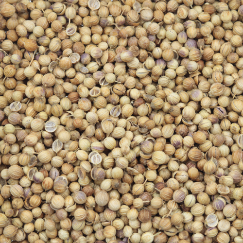 Coriander Seeds 85g