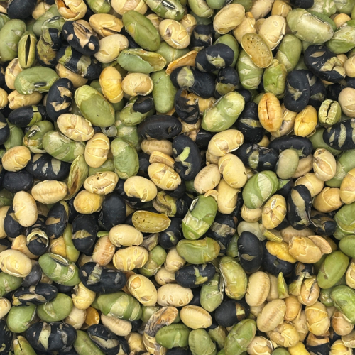 Roasted And Salted Mixed Soy Beans