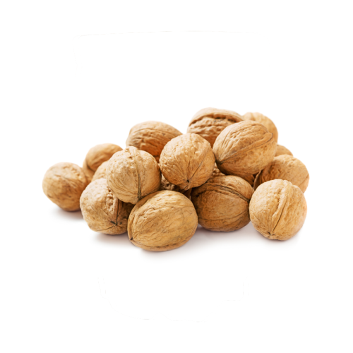 Walnuts In Shell 500g