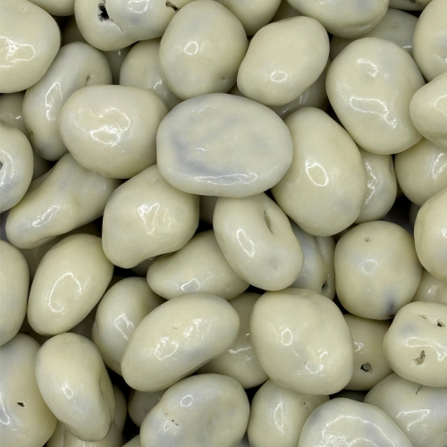 Belgian White Choco Yogurt Raisins 1kg