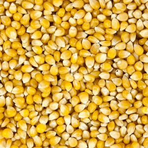 Pop Corn