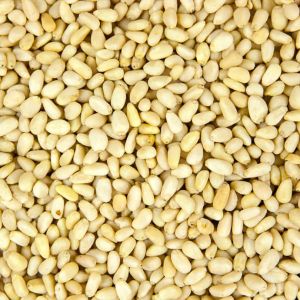 Pine Nut Kernels