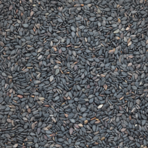 Basil Seeds 100g
