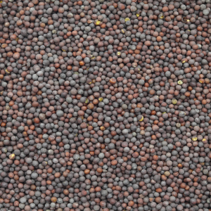Black Mustard Seeds 200g