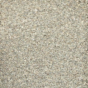 Celery Seeds 100g