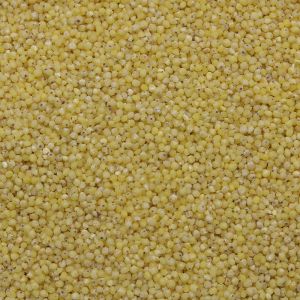 Organic Millet 1kg