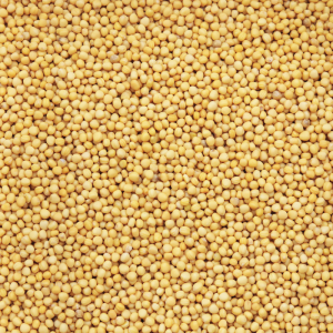 Yellow Mustard Seeds 200g