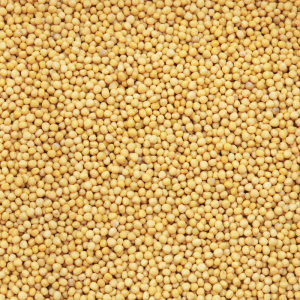 Yellow Mustard Seeds 500g