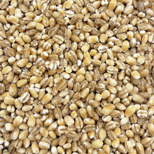Organic Pearl Barley 500g 