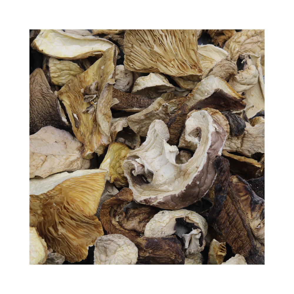 Forest Mix Mushrooms 40g