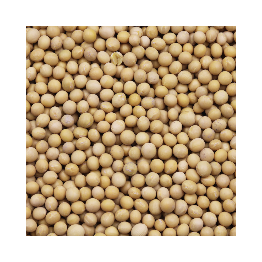 Organic Soya Beans 400g