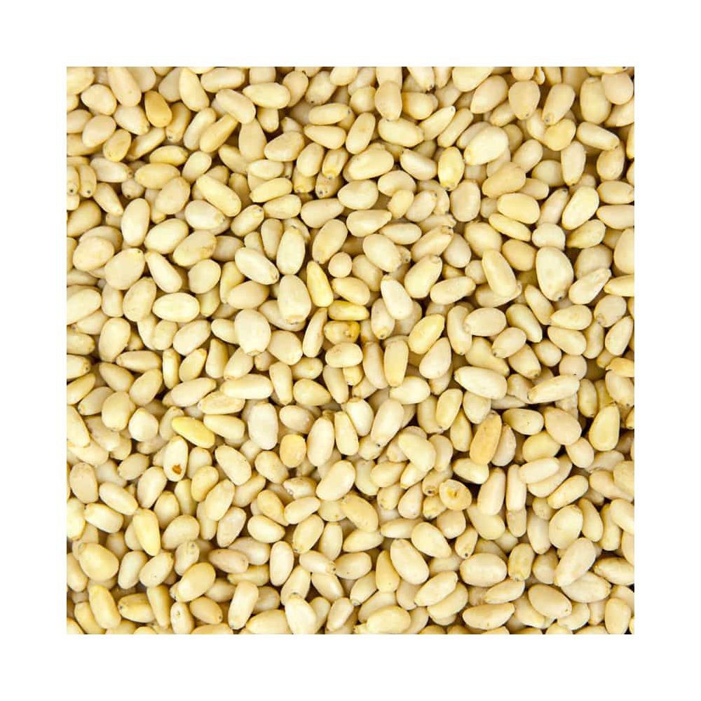 Pine Nut Kernels 