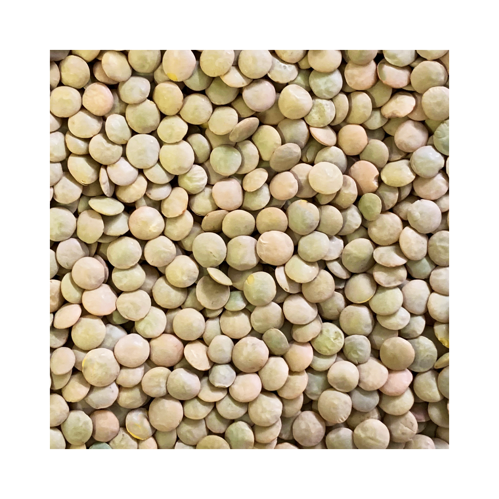 Green Lentils 500g Grape Tree