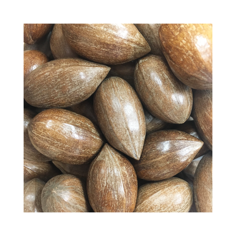 In Shell Pecans