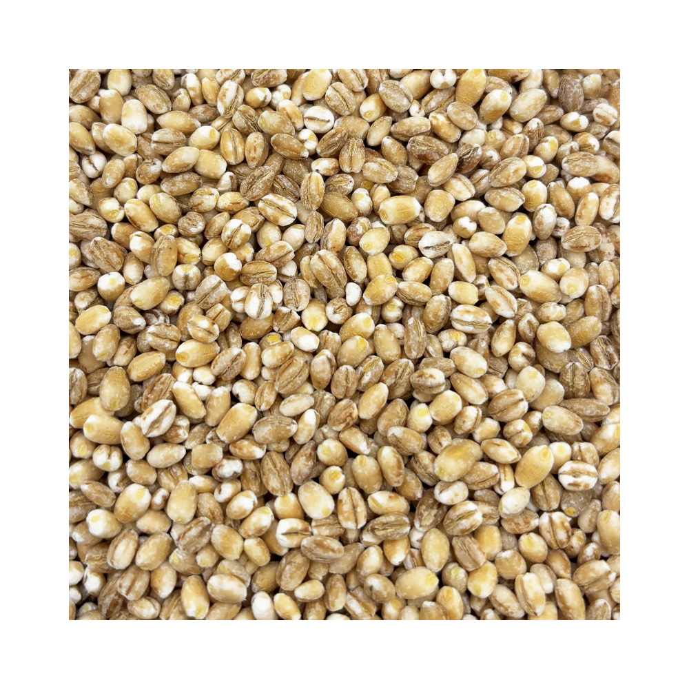 Organic Pearl Barley 500g 