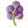 Grape Tree