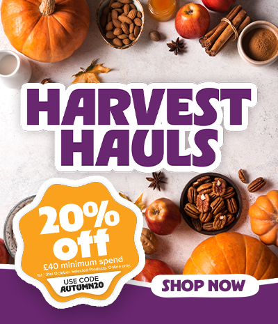 20% off