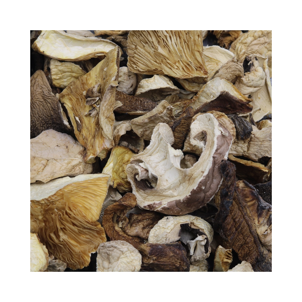 Forest Mix Mushrooms 40g Forest Mix Mushrooms 40g