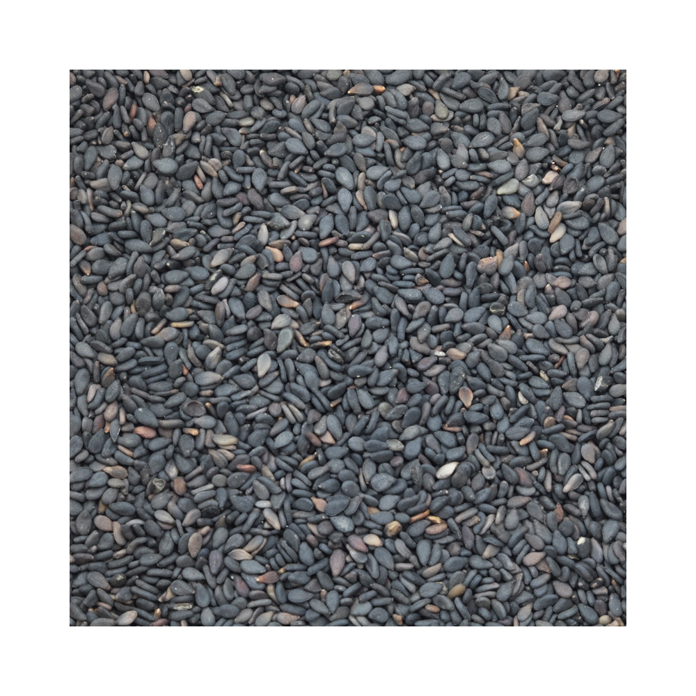 Basil Seeds 100g