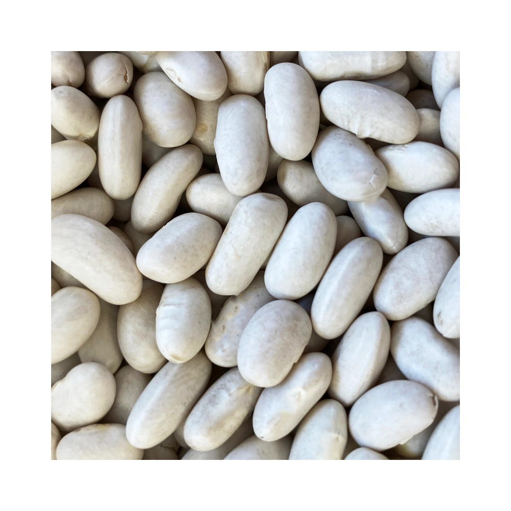 Cannellini Beans Cannellini Beans