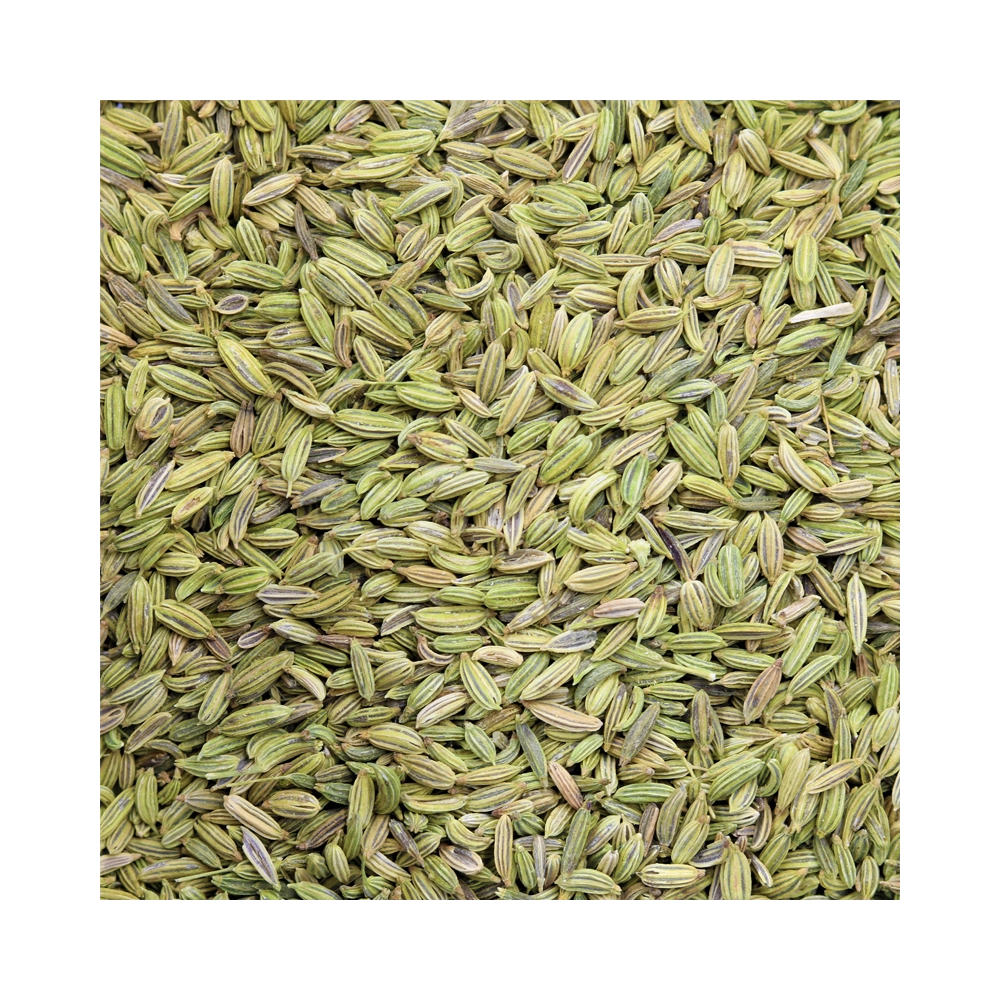Fennel Seeds Fennel Seeds