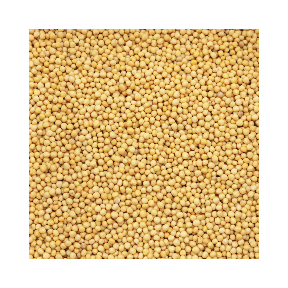 Yellow Mustard Seeds 200g Yellow Mustard Seeds 200g