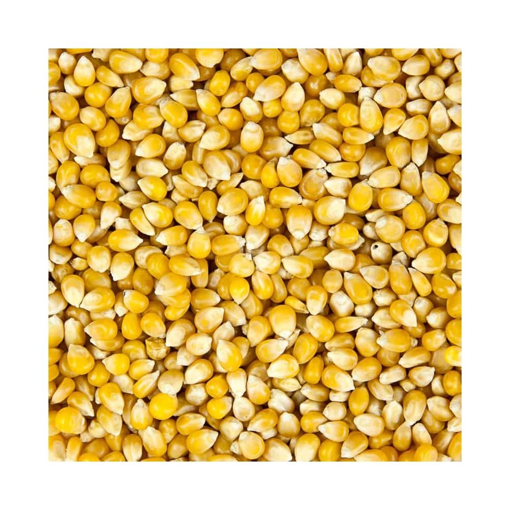 Popping Corn Bulk Box 20kg. 