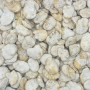 Baked Broad Beans 1kg thumbnail
