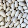 Cannellini Beans thumbnail