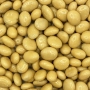 Caramel Flavour Coated Raisins 400g thumbnail