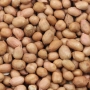 Paleskin Peanuts
 thumbnail