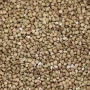 organic buckwheat thumbnail