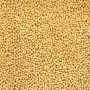 Yellow Mustard Seeds 200g thumbnail