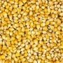 Popping Corn Bulk Box 20kg.  thumbnail
