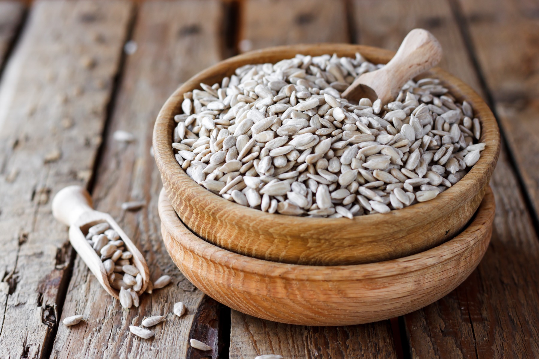 Ten Things You Should Know About Sunflower Seeds