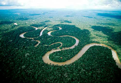 The Story of the Brazil Nut