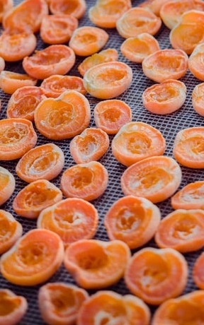 Dried Apricots